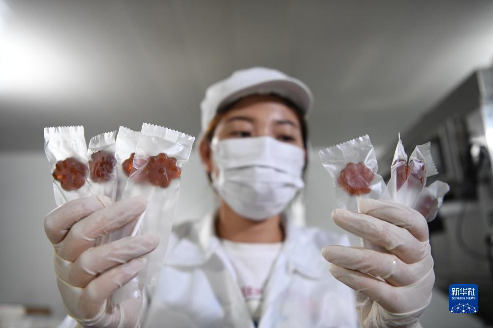 金沙游戏城